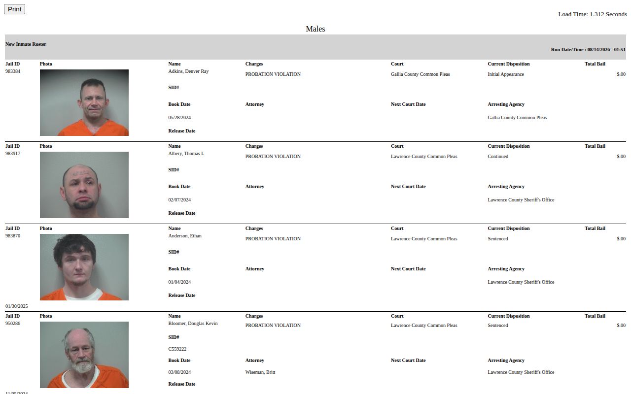 Gallia County current booking roster fields